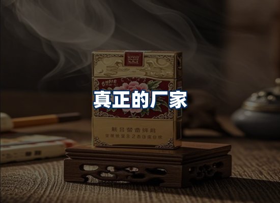 专业团队办公环境